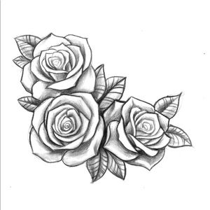 Meet your Posher, Ali